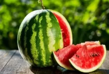 چرا در هندوانه نیترات وجود دارد