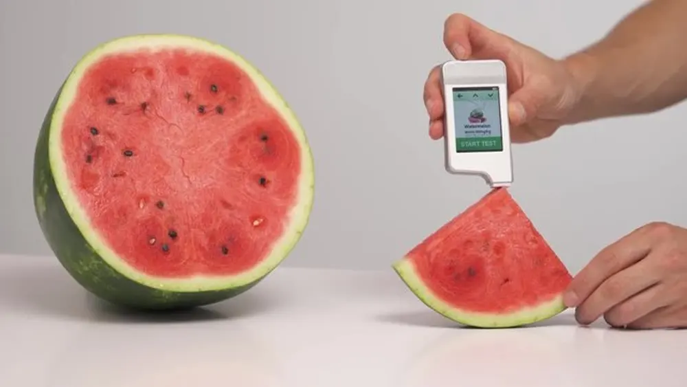 چرا در هندوانه نیترات وجود دارد؟